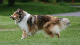 bild33