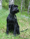 bild45