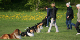 bild5