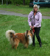 bild63