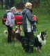 bild64