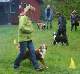 bild67