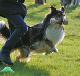 bild7