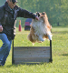 bild8