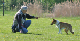 bild80