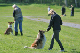 bild82