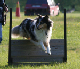 bild9