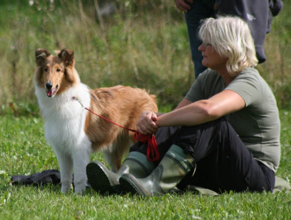 bild113