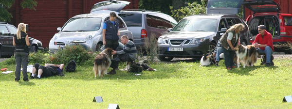 bild114