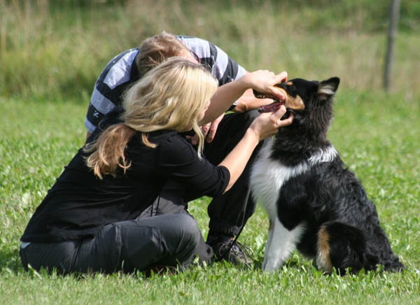 bild115