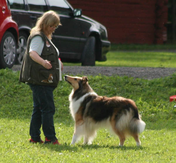 bild116
