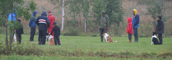 bild15