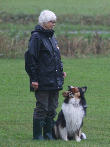 bild17