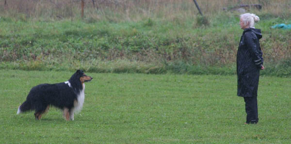 bild18