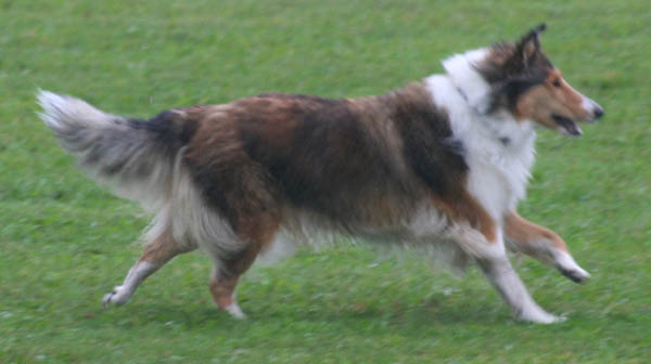 bild22