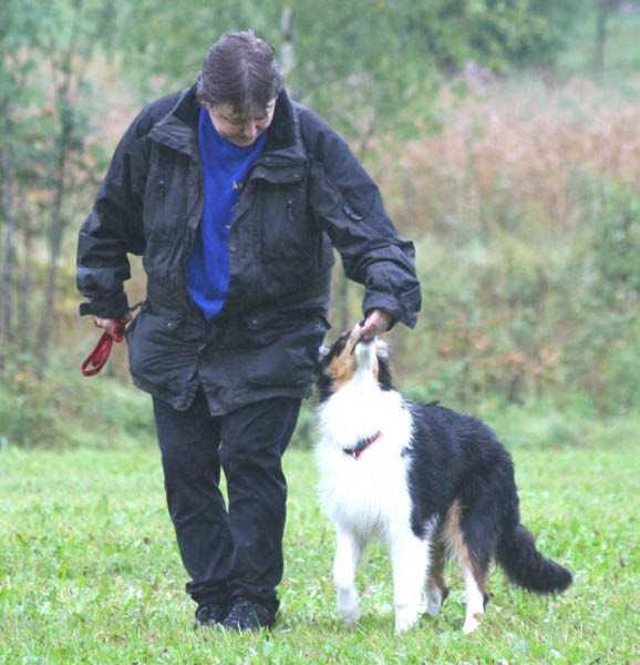 bild28
