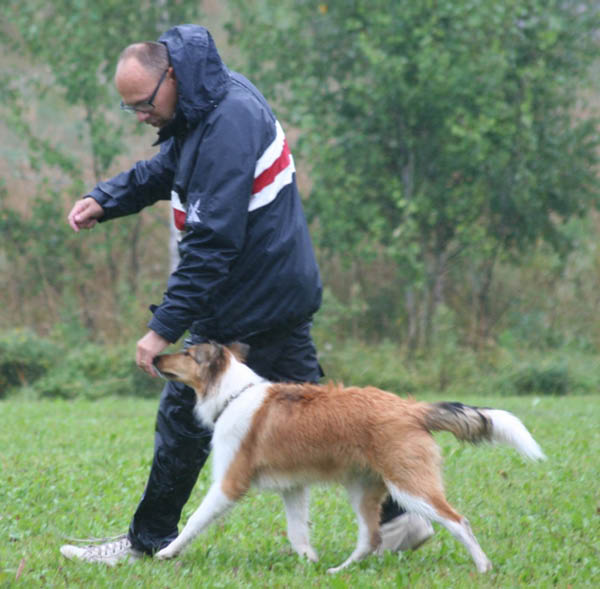 bild29