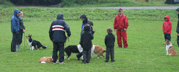 bild37