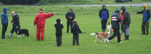 bild38
