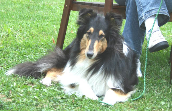 bild5