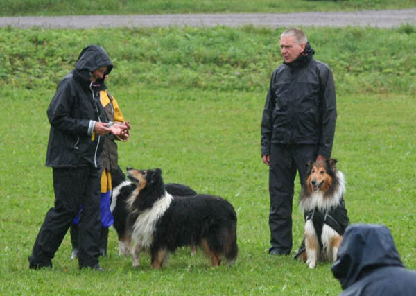 bild52