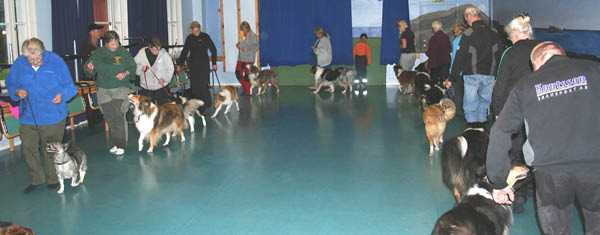 bild65