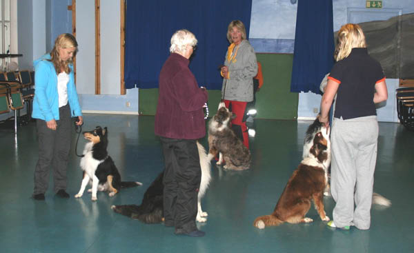 bild67