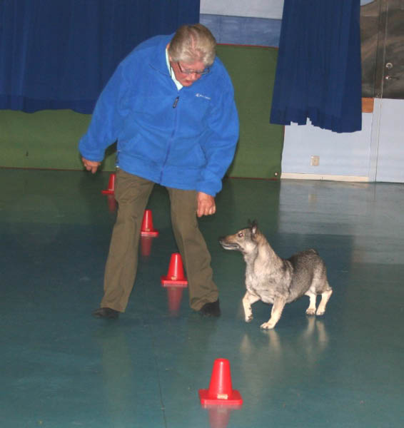 bild68