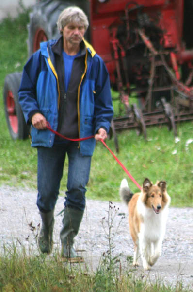 bild82