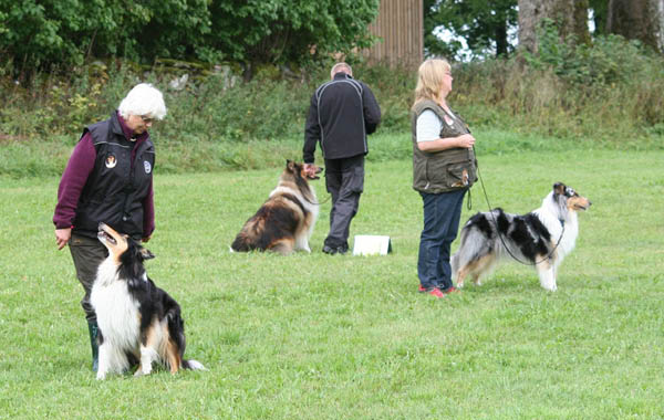 bild87