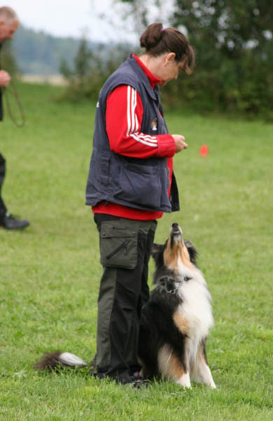 bild88