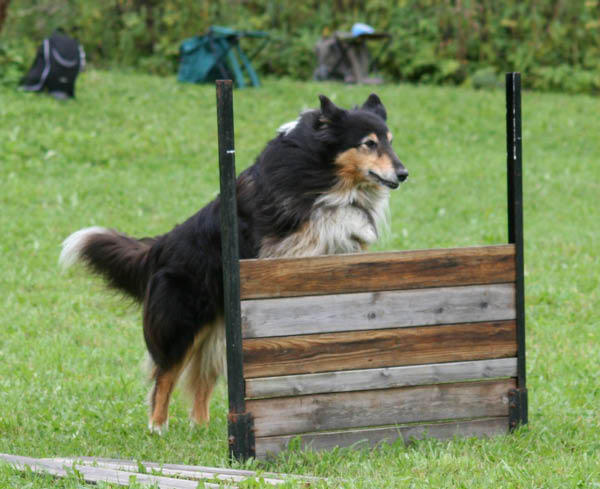 bild91