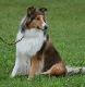 bild100