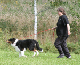 bild108