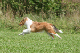 bild109