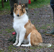 bild11