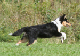 bild112