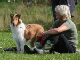 bild113