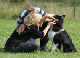 bild115