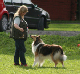 bild116