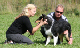 bild119