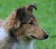 bild12