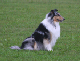 bild19