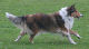 bild22