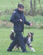 bild23b