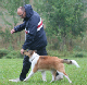 bild29