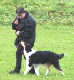 bild31