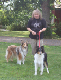 bild4