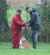 bild42