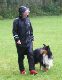 bild45